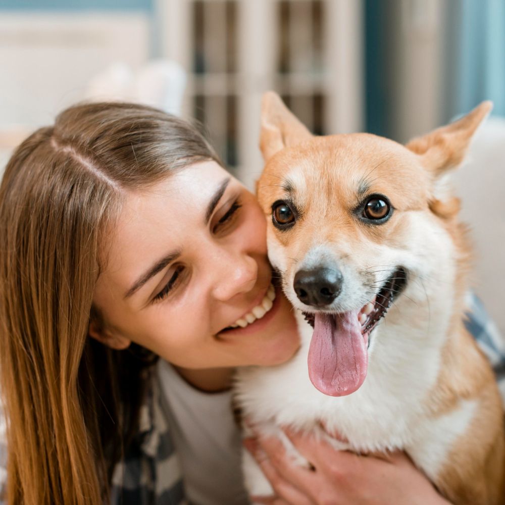 Pets